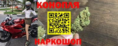 прущие крисы Будённовск