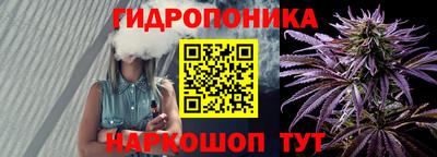 прущие крисы Будённовск