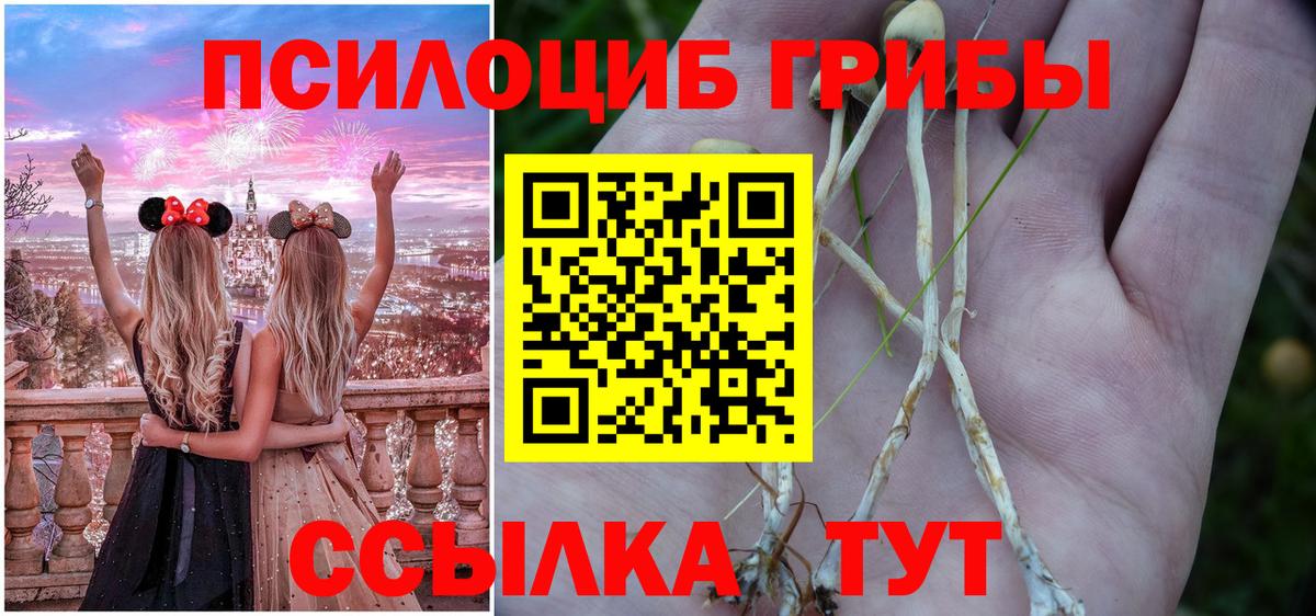 Рузаевка  Псилоцибиновые грибы Magic Shrooms  Псилоцибиновые грибы мицелий  Вход с VPN 